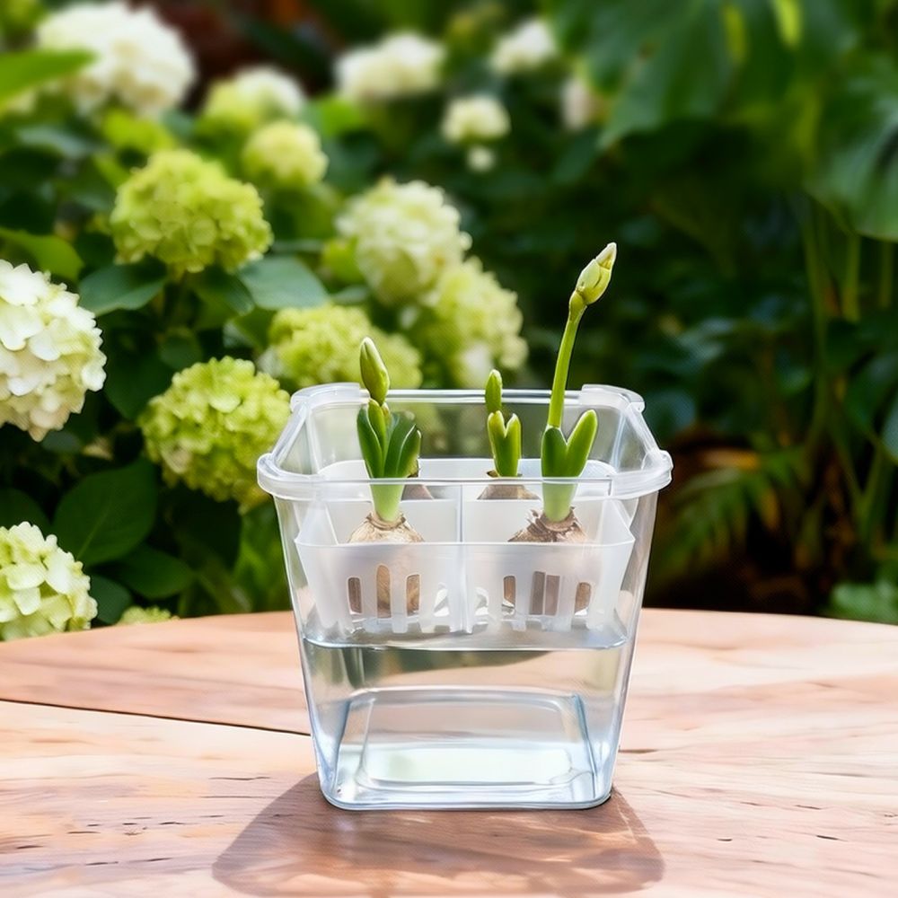 Hydroponic Vase For Tulip Lily - Vase Decor ulasan dan harga